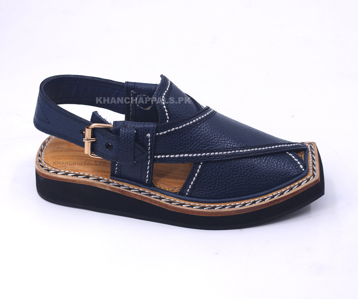 Kaptaan Chappal Price in Pakistan